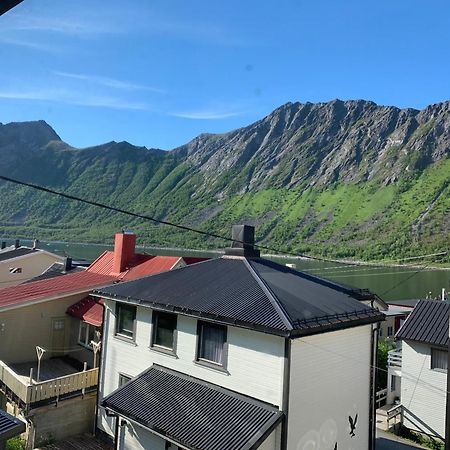 Apartament House Gryllefjord Zewnętrze zdjęcie