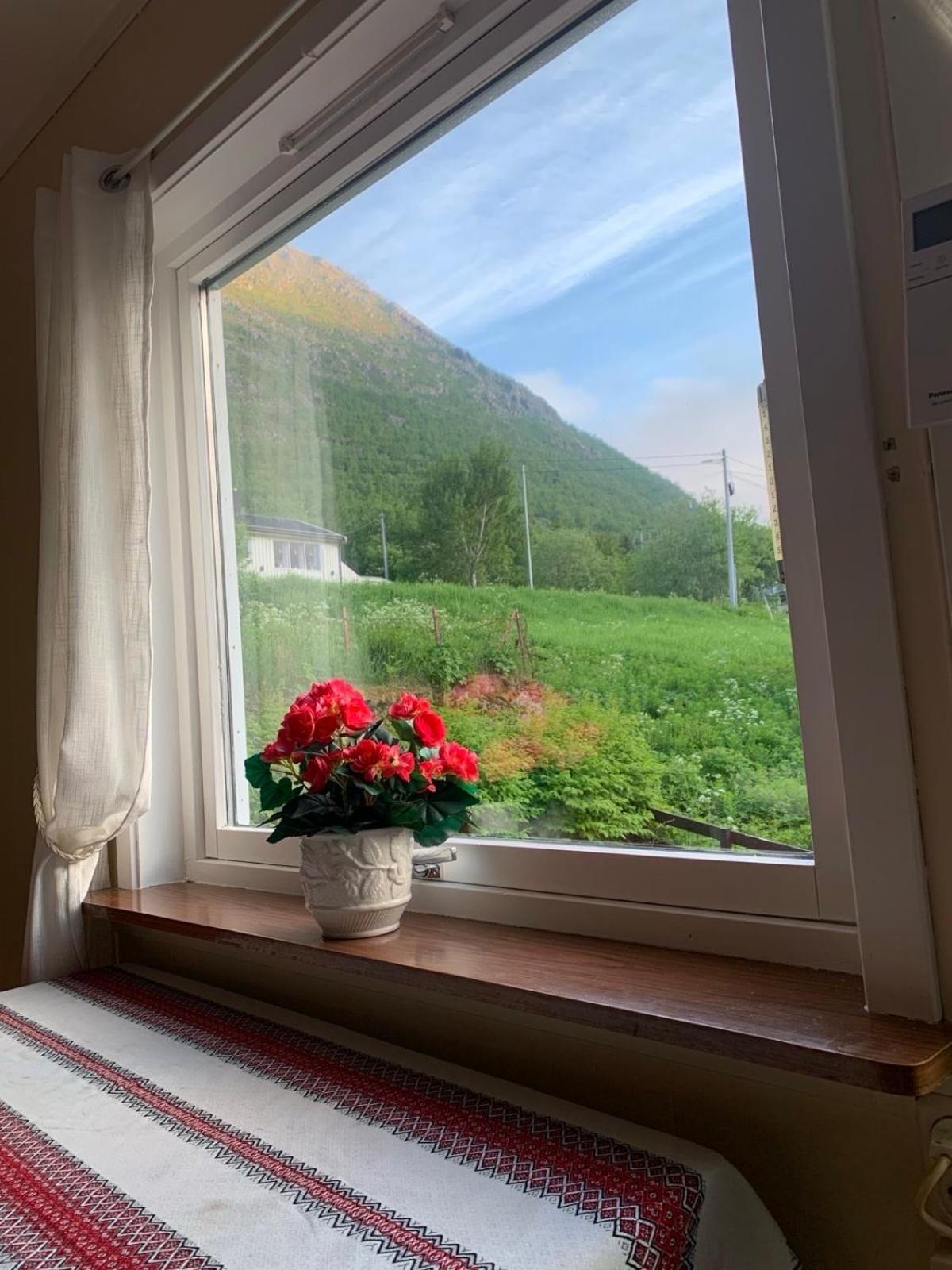 Apartament House Gryllefjord Zewnętrze zdjęcie