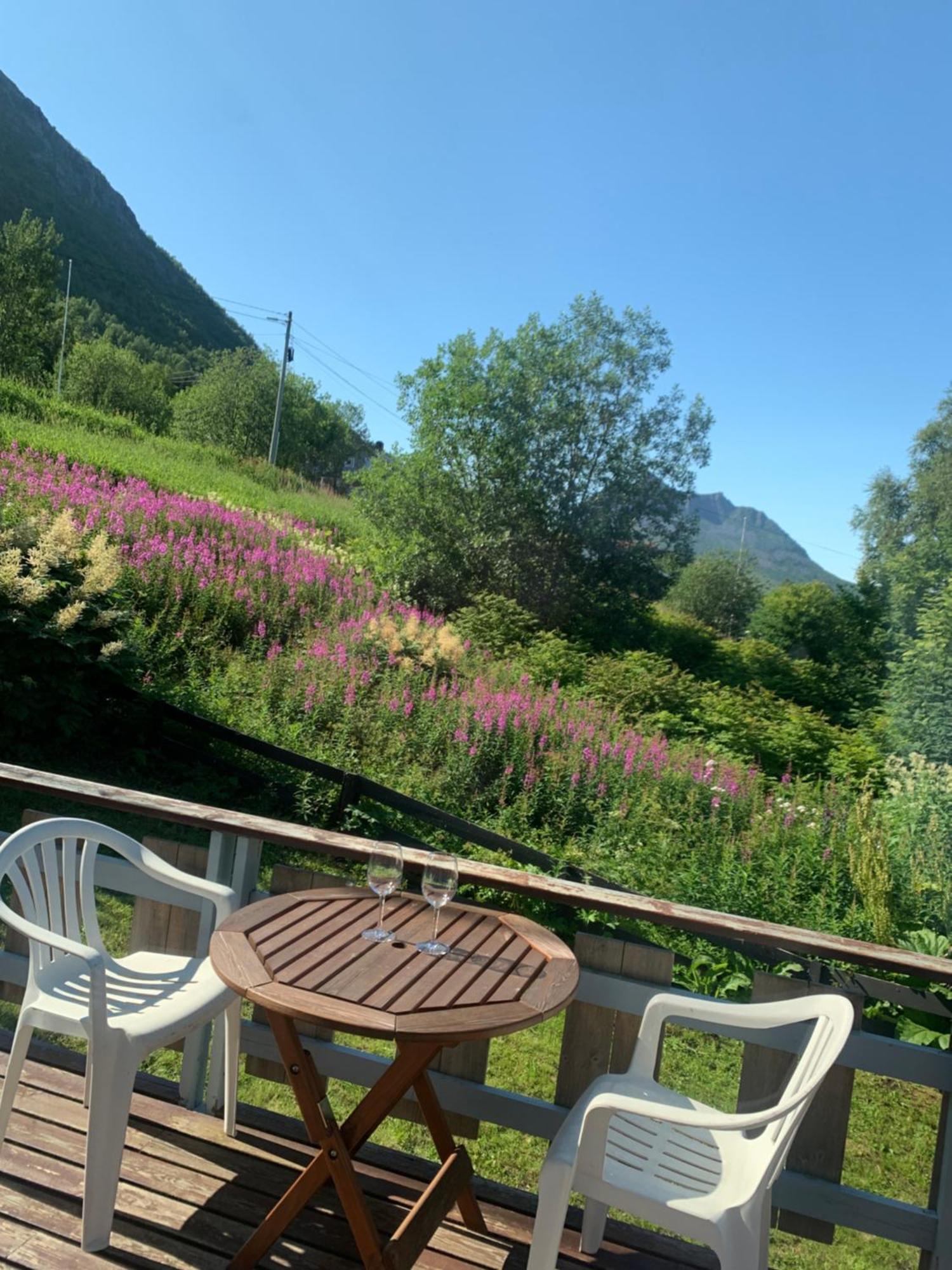 Apartament House Gryllefjord Zewnętrze zdjęcie